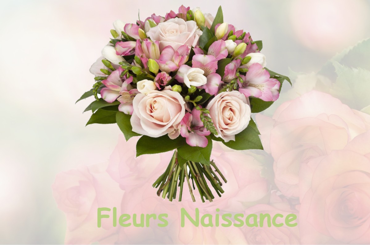 fleurs naissance SAINT-SAUVEUR-DE-GINESTOUX